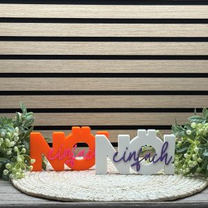 Schriftzug einfach Nö